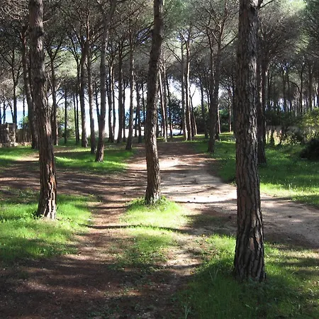 Alma Cala Liberotto